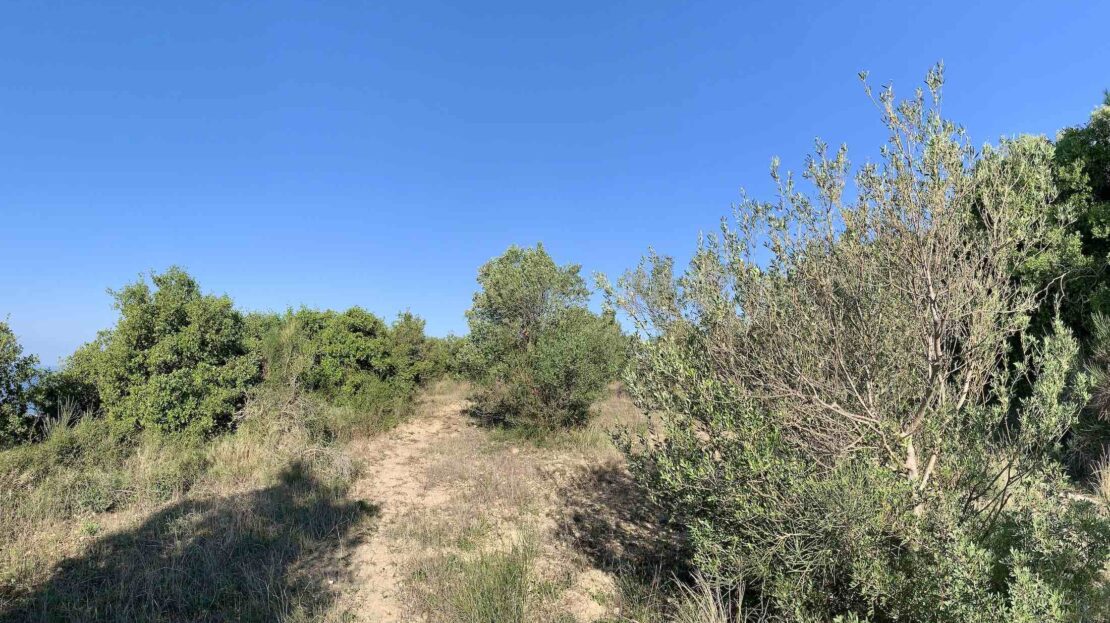 Lakithra hills breath-taking views plot for sale