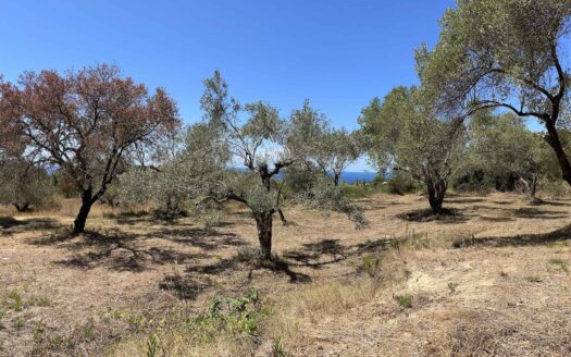 Leivatho Amazing big plot for sale