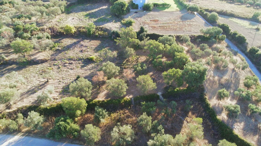 Leivatho Amazing big plot